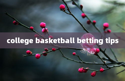 college basketball betting tips