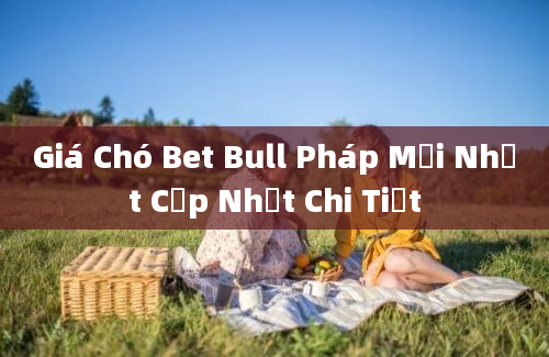 Giá Chó Bet Bull Pháp Mới Nhất Cập Nhật Chi Tiết