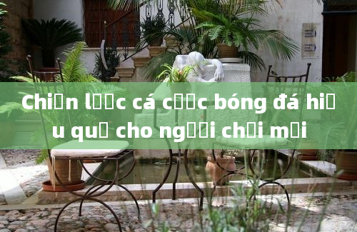 Chiến lược cá cược bóng đá hiệu quả cho người chơi mới