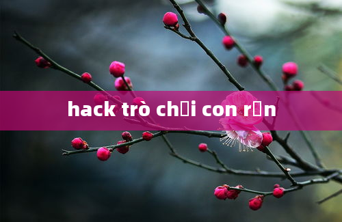 hack trò chơi con rắn