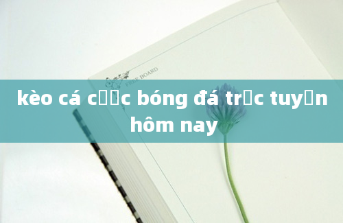 kèo cá cược bóng đá trực tuyến hôm nay