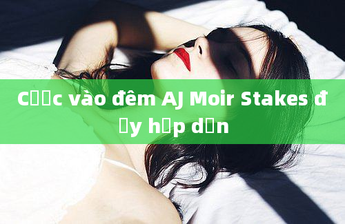 Cược vào đêm AJ Moir Stakes đầy hấp dẫn