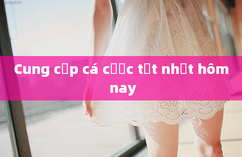 Cung cấp cá cược tốt nhất hôm nay