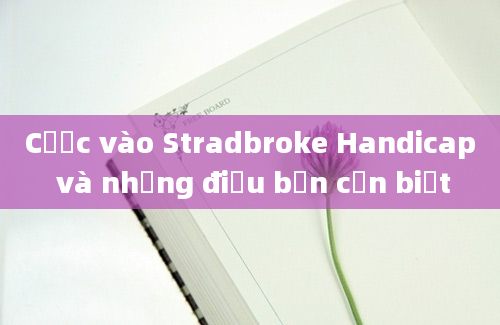 Cược vào Stradbroke Handicap và những điều bạn cần biết