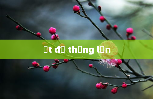 ết để thắng lớn