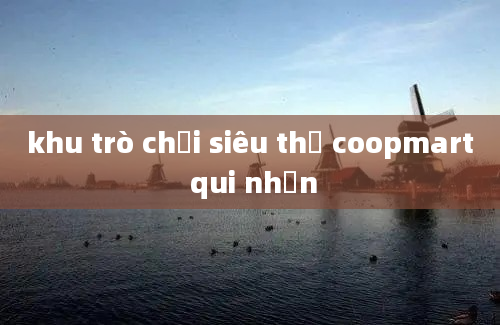 khu trò chơi siêu thị coopmart qui nhơn