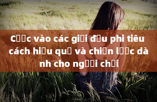 Cược vào các giải đấu phi tiêu cách hiệu quả và chiến lược dành cho người chơi