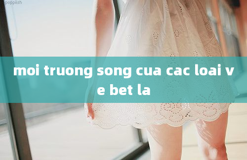 moi truong song cua cac loai ve bet la