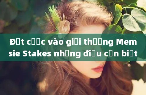 Đặt cược vào giải thưởng Memsie Stakes những điều cần biết