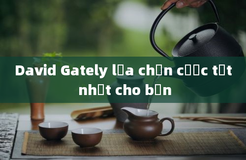 David Gately lựa chọn cược tốt nhất cho bạn