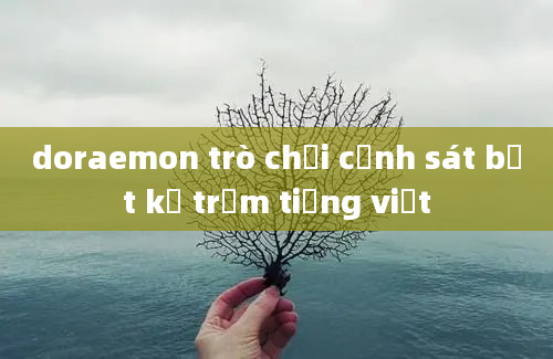 doraemon trò chơi cảnh sát bắt kẻ trộm tiếng việt