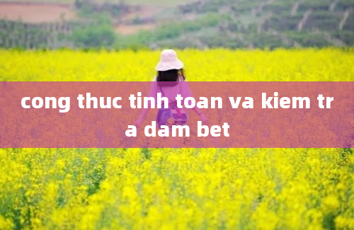 cong thuc tinh toan va kiem tra dam bet