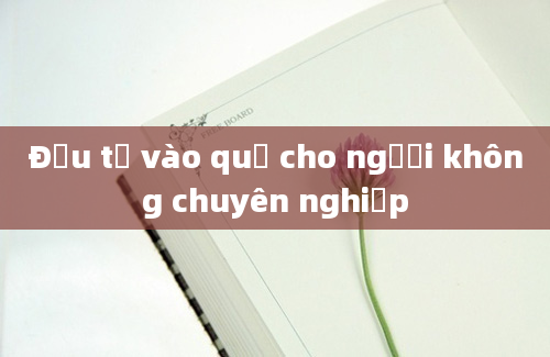 Đầu tư vào quỹ cho người không chuyên nghiệp