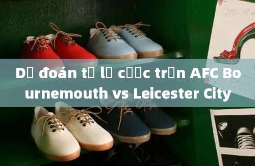 Dự đoán tỷ lệ cược trận AFC Bournemouth vs Leicester City