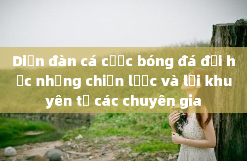 Diễn đàn cá cược bóng đá đại học những chiến lược và lời khuyên từ các chuyên gia