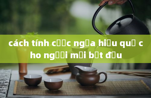 cách tính cược ngựa hiệu quả cho người mới bắt đầu