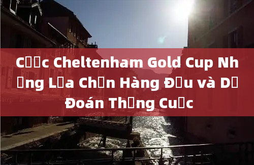 Cược Cheltenham Gold Cup Những Lựa Chọn Hàng Đầu và Dự Đoán Thắng Cuộc