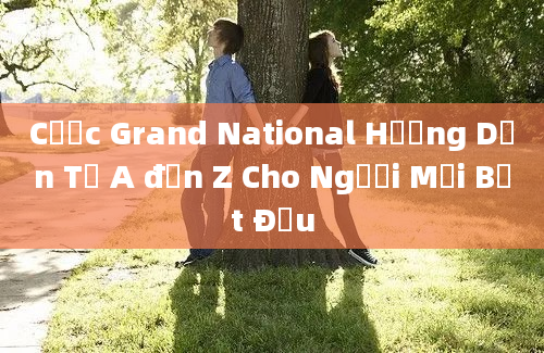 Cược Grand National Hướng Dẫn Từ A đến Z Cho Người Mới Bắt Đầu