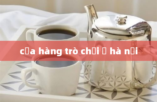 cửa hàng trò chơi ở hà nội