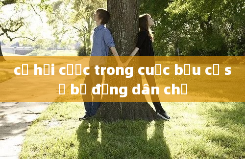 cơ hội cược trong cuộc bầu cử sơ bộ đảng dân chủ