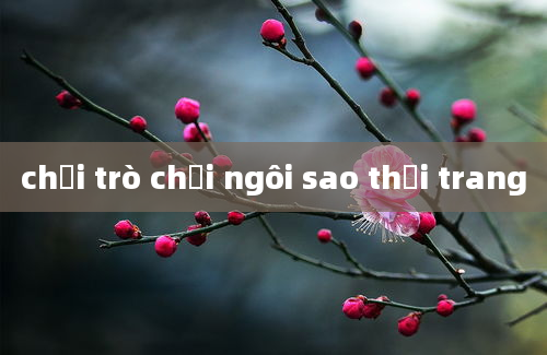 chơi trò chơi ngôi sao thời trang