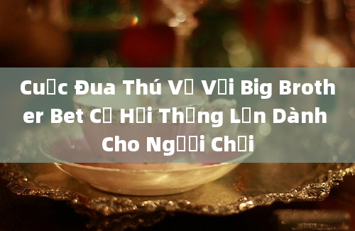 Cuộc Đua Thú Vị Với Big Brother Bet Cơ Hội Thắng Lớn Dành Cho Người Chơi