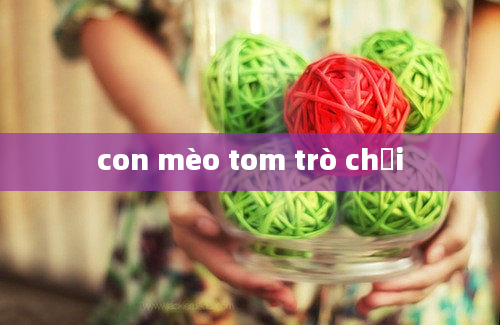 con mèo tom trò chơi