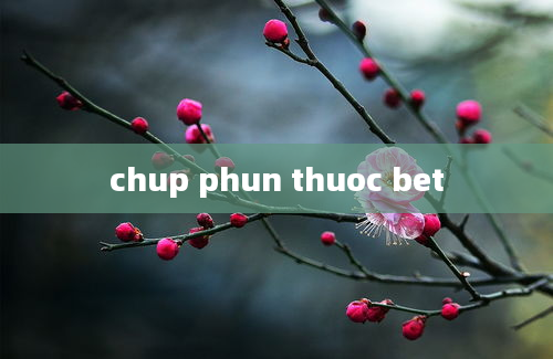 chup phun thuoc bet