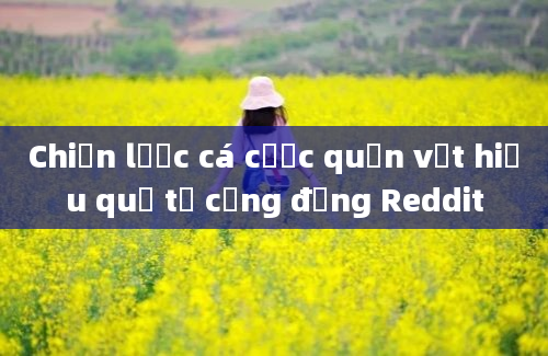 Chiến lược cá cược quần vợt hiệu quả từ cộng đồng Reddit