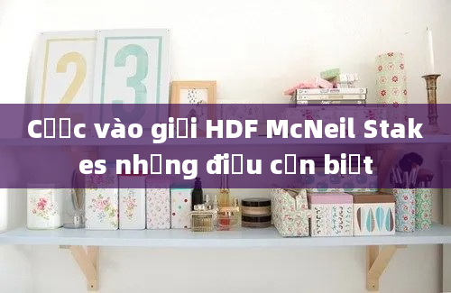 Cược vào giải HDF McNeil Stakes những điều cần biết