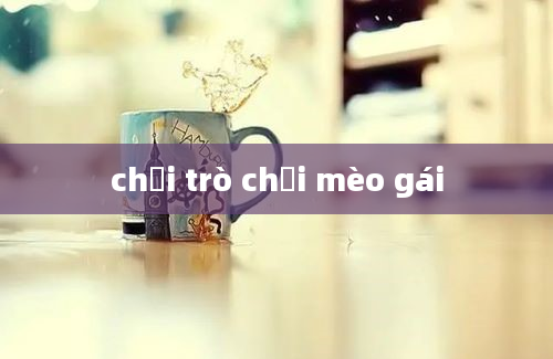 chơi trò chơi mèo gái