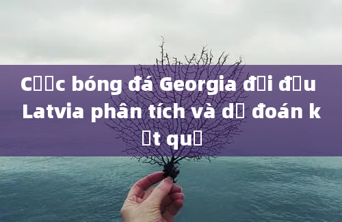 Cược bóng đá Georgia đối đầu Latvia phân tích và dự đoán kết quả