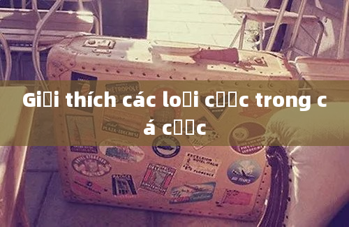 Giải thích các loại cược trong cá cược