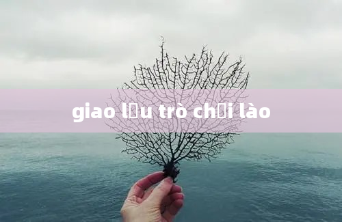 giao lưu trò chơi lào