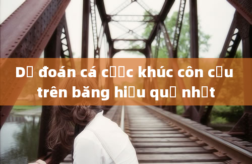 Dự đoán cá cược khúc côn cầu trên băng hiệu quả nhất