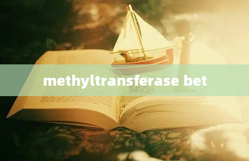 methyltransferase bet