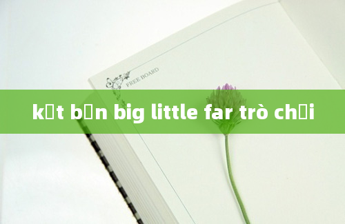 kết bạn big little far trò chơi