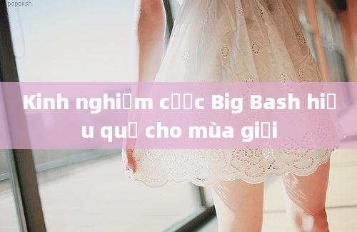 Kinh nghiệm cược Big Bash hiệu quả cho mùa giải