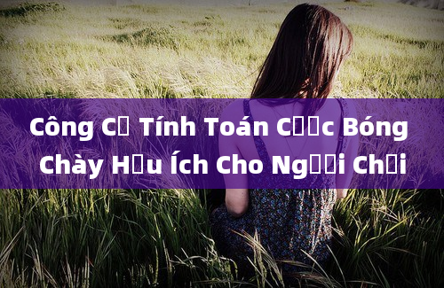 Công Cụ Tính Toán Cược Bóng Chày Hữu Ích Cho Người Chơi