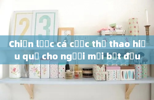 Chiến lược cá cược thể thao hiệu quả cho người mới bắt đầu