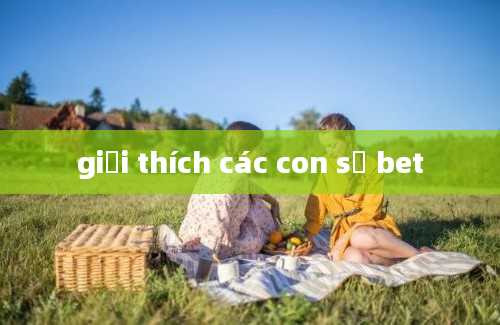 giải thích các con số bet