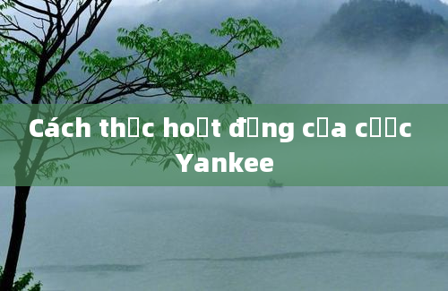 Cách thức hoạt động của cược Yankee