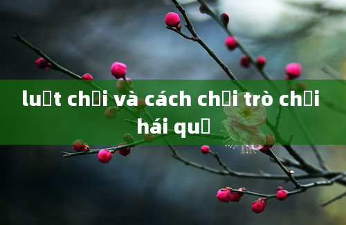 luật chơi và cách chơi trò chơi hái quả