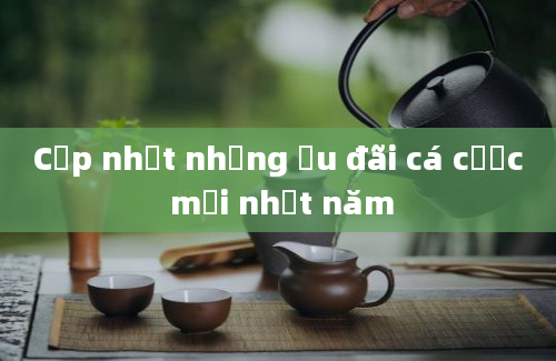 Cập nhật những ưu đãi cá cược mới nhất năm