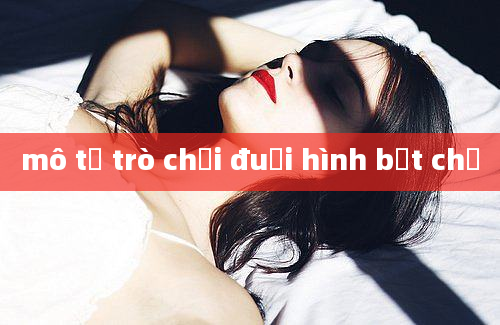 mô tả trò chơi đuổi hình bắt chữ