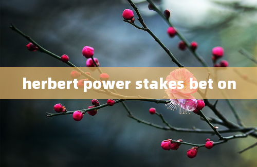 herbert power stakes bet on