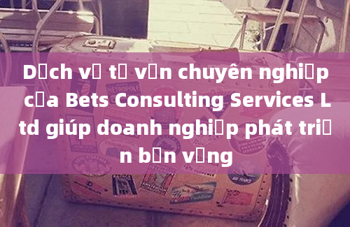 Dịch vụ tư vấn chuyên nghiệp của Bets Consulting Services Ltd giúp doanh nghiệp phát triển bền vững