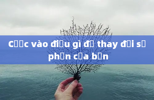 Cược vào điều gì để thay đổi số phận của bạn