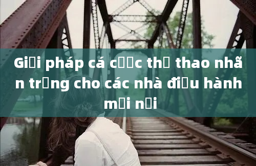 Giải pháp cá cược thể thao nhãn trắng cho các nhà điều hành mới nổi