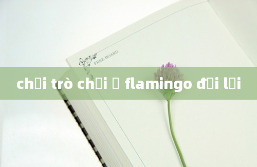 chơi trò chơi ở flamingo đại lải